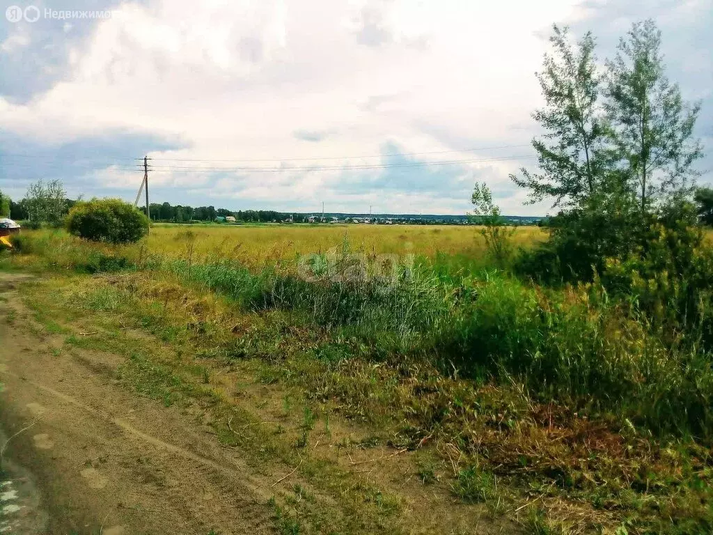 Участок в Курган, товарищество собственников недвижимости Благодатное ... - Фото 0