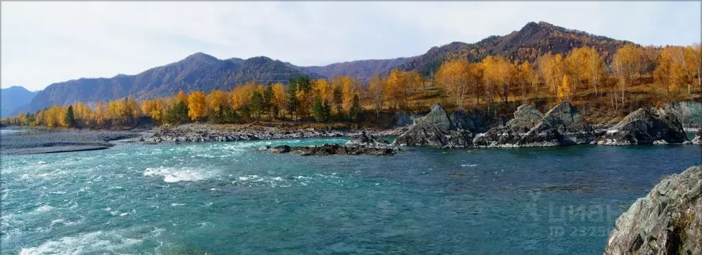 Участок в Алтай, Чемальский район, с. Анос Центральная ул. (500.0 ... - Фото 0