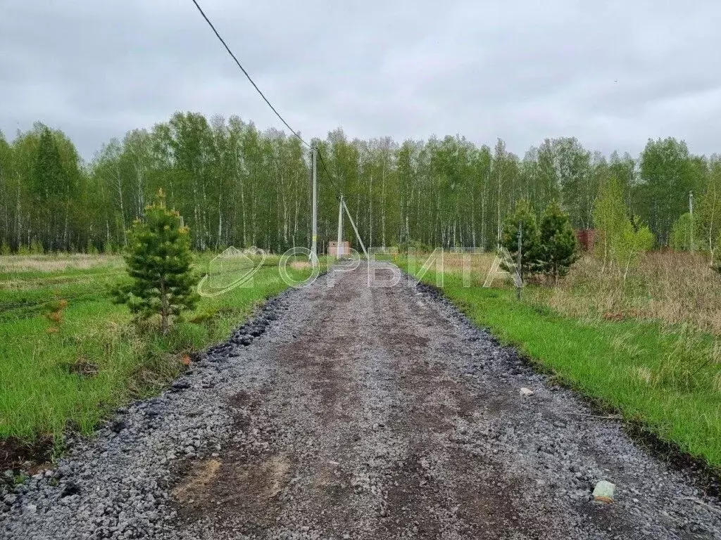 Участок в Тюменская область, Тюменский район, д. Елань ул. Тисовая ... - Фото 0