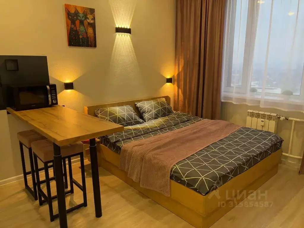 1-к кв. Новосибирская область, Новосибирск ул. Кирова, 113/2 (22.0 м) - Фото 1
