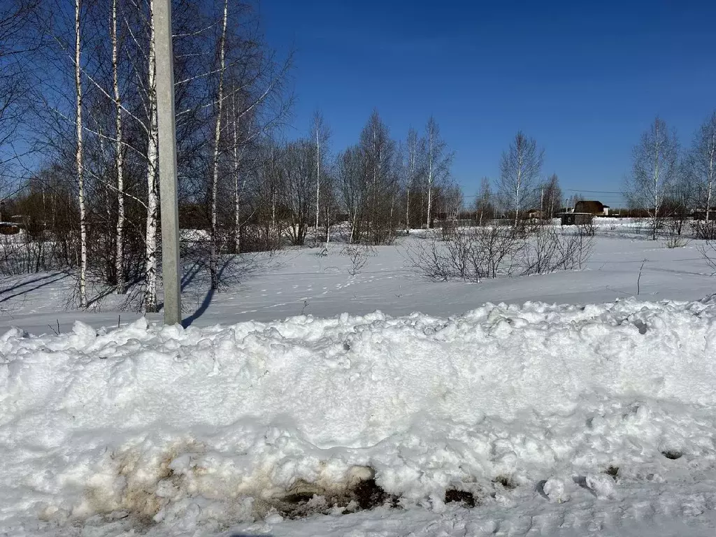 Участок в Владимирская область, Александровский район, Андреевское ... - Фото 0