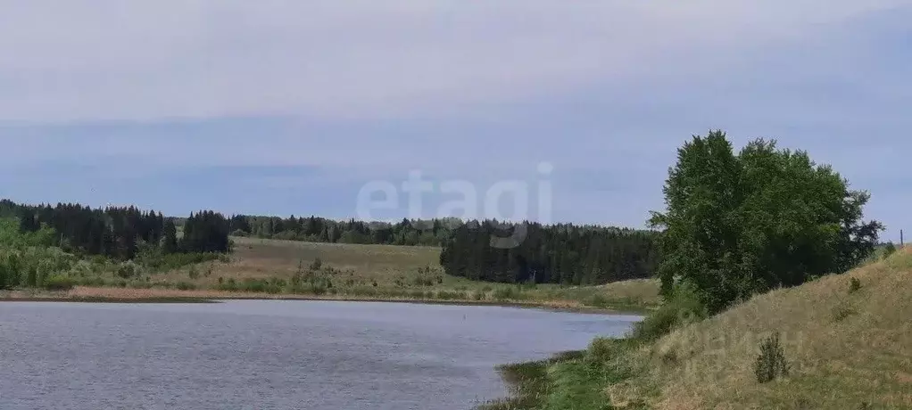 Участок в Пермский край, Кунгурский муниципальный округ, с. Калинино ... - Фото 2