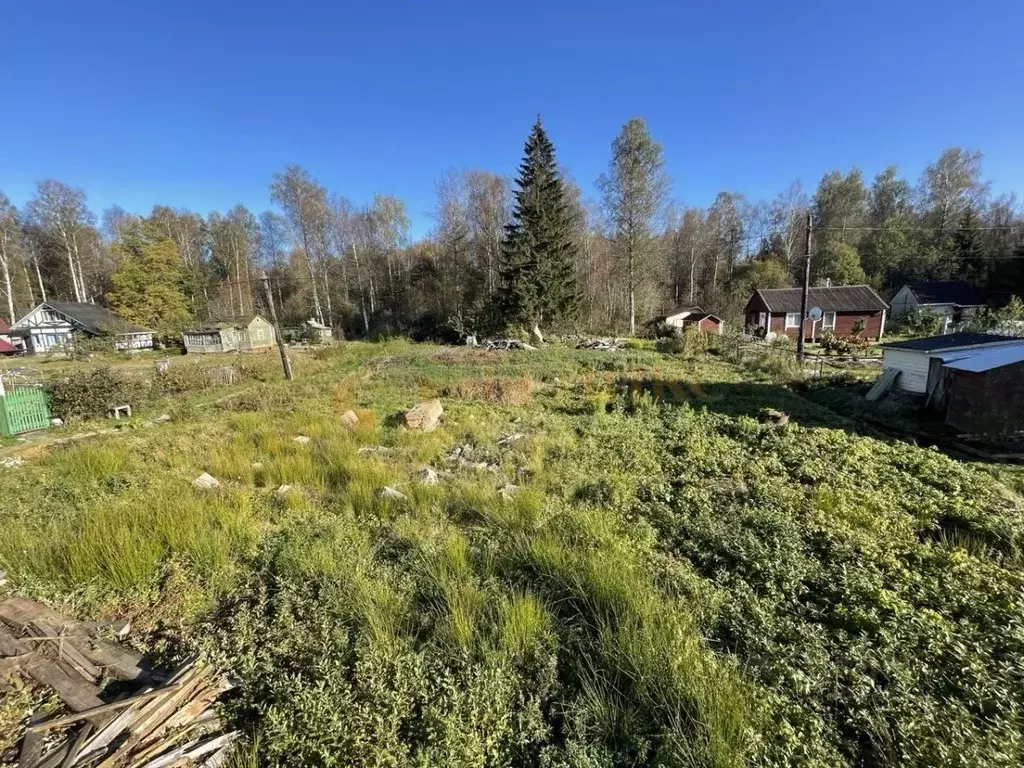 Участок в Ленинградская область, Всеволожский район, Рахьинское ... - Фото 1