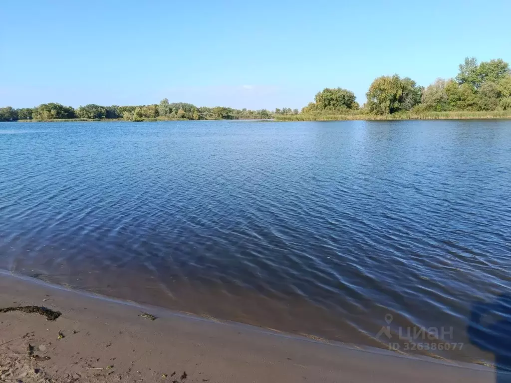 Участок в Саратовская область, Энгельсский район, Красноярское ... - Фото 2