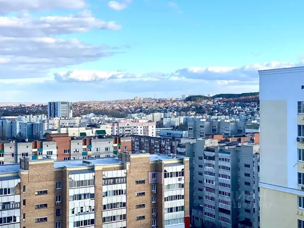1-к кв. Пензенская область, Пенза проезд 3-й Рахманинова, 2 (45.0 м) - Фото 1