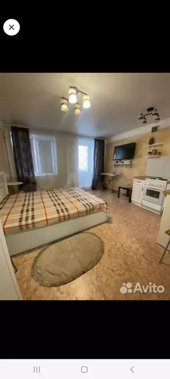 Квартира-студия, 25 м, 1/5 эт. - Фото 1