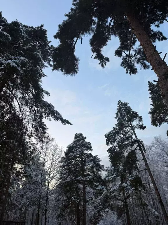 1-к кв. Москва Скандинавия жилой комплекс, ул. Эдварда Грига, 17 (33.8 ... - Фото 1