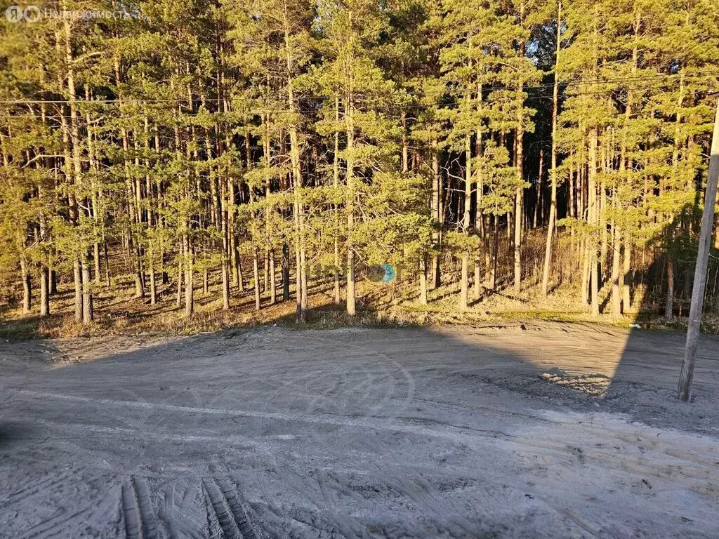 Дом в Брянск, 2-й переулок Бабушкина, 14 (194 м) - Фото 1