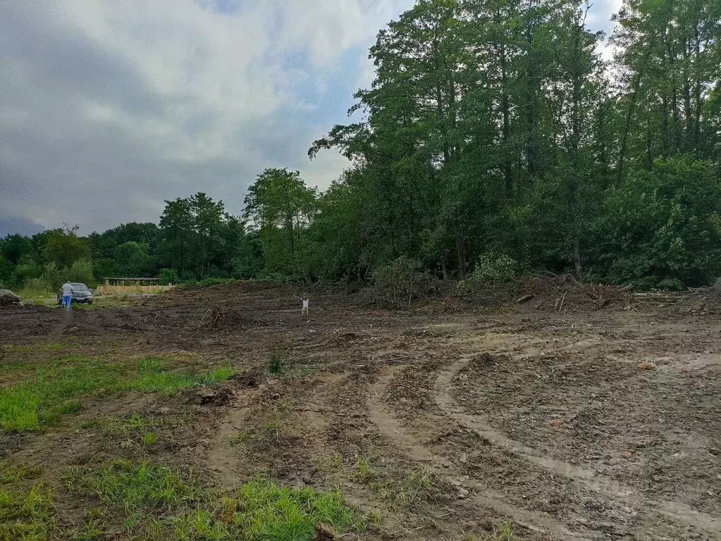 Участок в Северная Осетия, Владикавказ Учитель СТ, 303/1 (10.0 сот.) - Фото 2