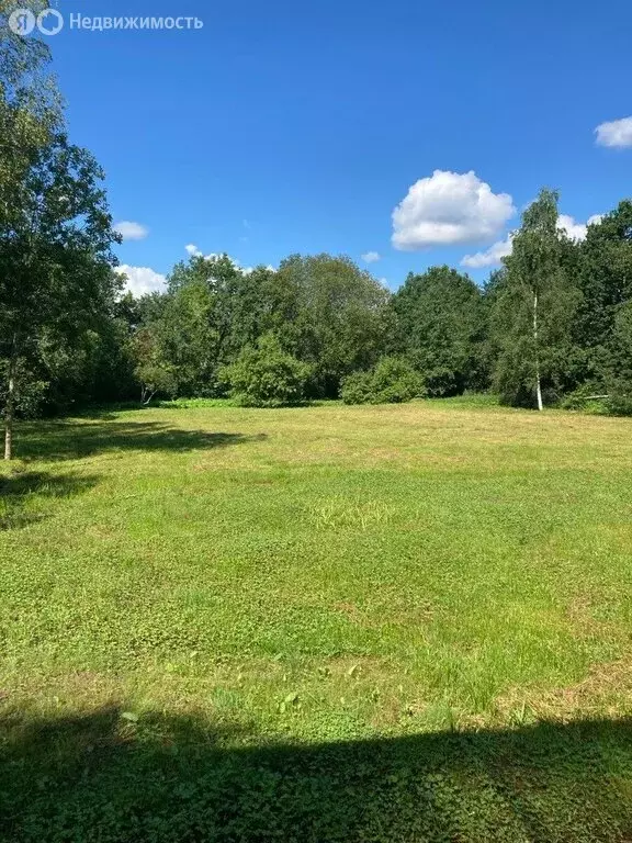 Участок в деревня Маргусы, 17 (20 м) - Фото 2