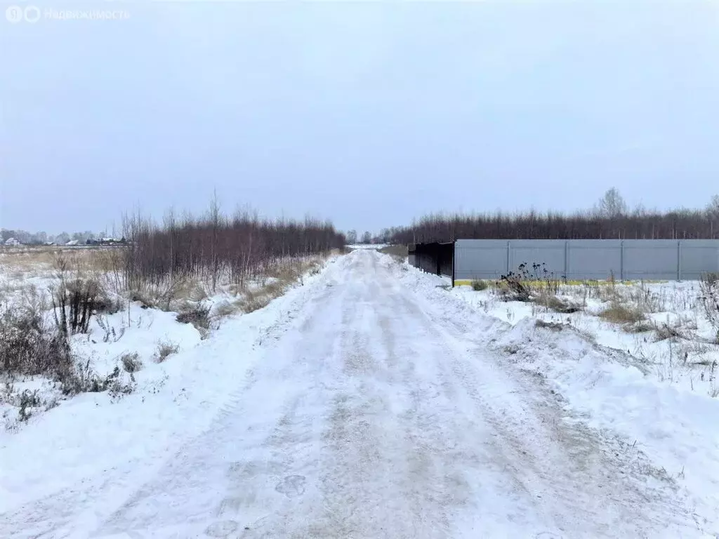 Участок в Дмитровский городской округ, деревня Кончинино (10 м) - Фото 1