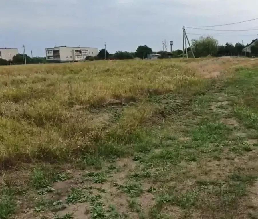 Участок в Волгоградская область, Михайловский район, пос. Отрадное ... - Фото 2