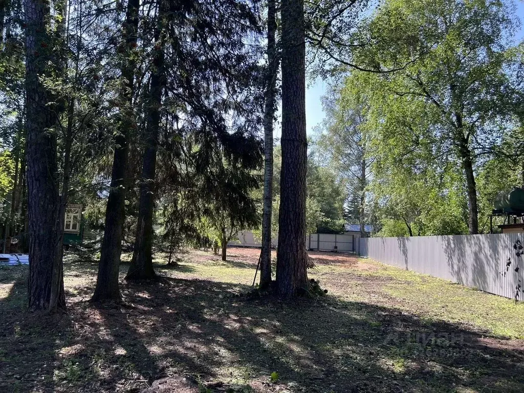 Участок в Московская область, Пушкино Заветы Ильича мкр, ул. Радищева, ... - Фото 1