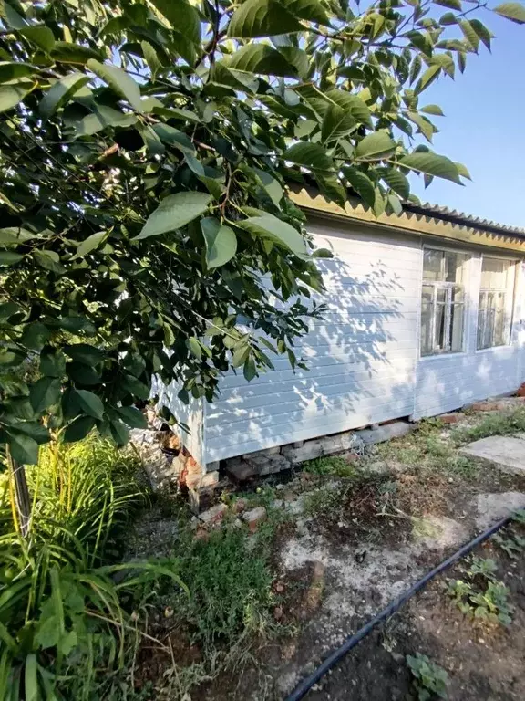 Дом в Саратовская область, Озинки рп ул. Пушкинская, 49 (48 м) - Фото 2