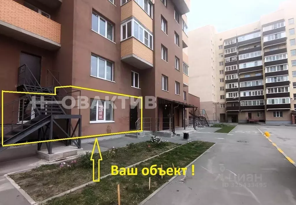 Помещение свободного назначения в Новосибирская область, Новосибирск ... - Фото 1