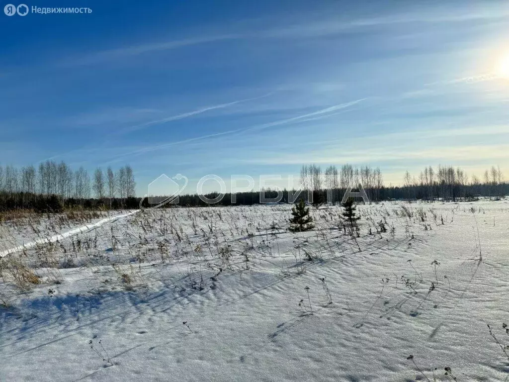 Участок в Тюменский район, село Горьковка (6.24 м) - Фото 1