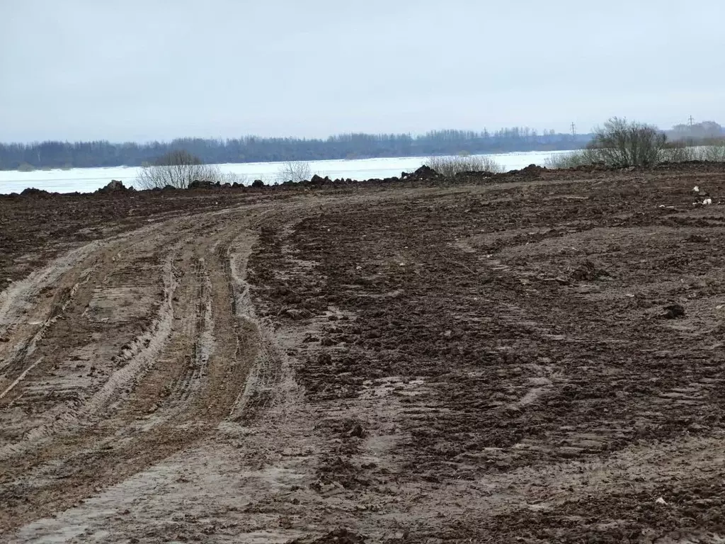 Участок в Новгородская область, Новгородский район, Савинское с/пос, ... - Фото 0