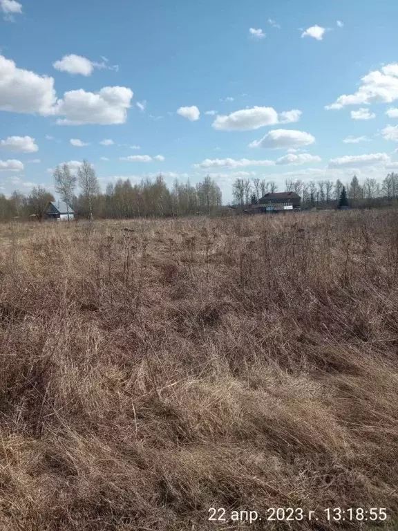 Участок в Нижегородская область, Нижний Новгород д. Новопавловка, ул. ... - Фото 2