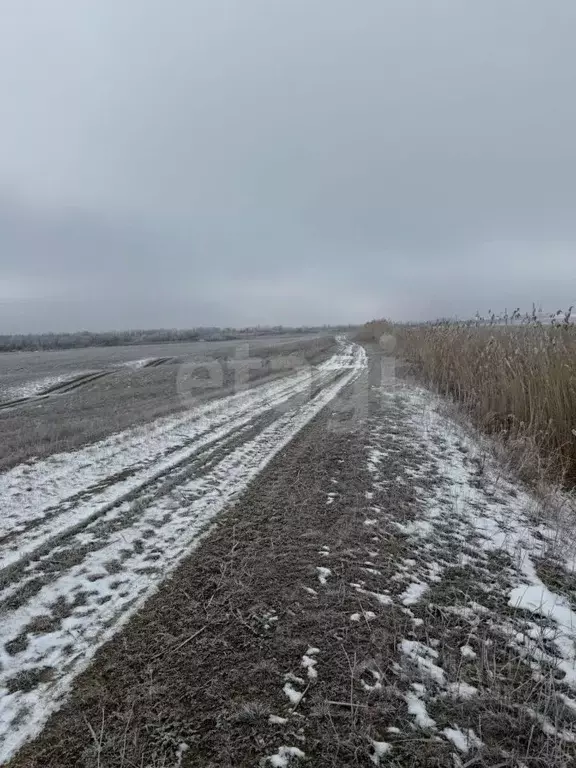 Участок в Ставропольский край, Минераловодский муниципальный округ, ... - Фото 1