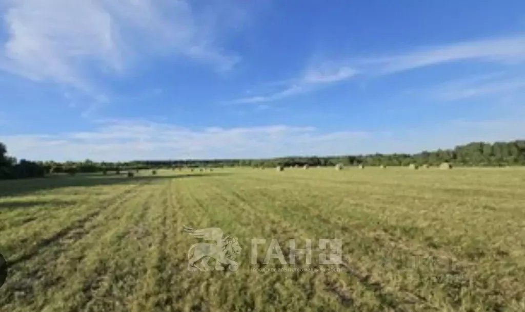 Участок в Ленинградская область, Гатчинский район, д. Жабино  (241.46 ... - Фото 0