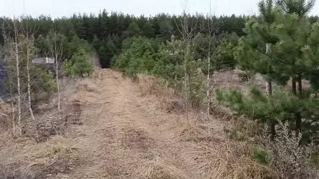 Участок 15 сот. (ИЖС) - Фото 1