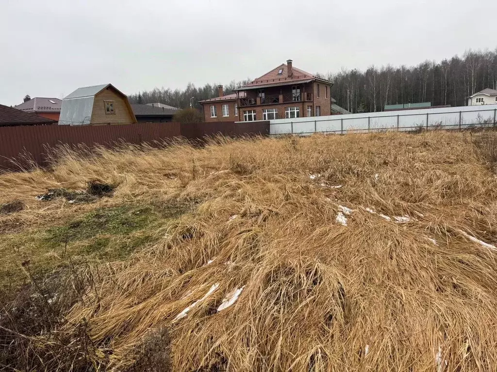 Участок в Московская область, Богородский городской округ, д. Горки ... - Фото 1
