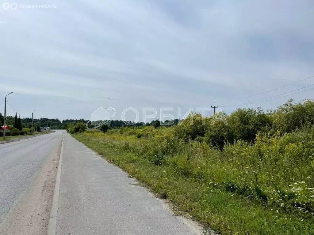 Участок в Тюменская область, Нижнетавдинский муниципальный округ, ... - Фото 2