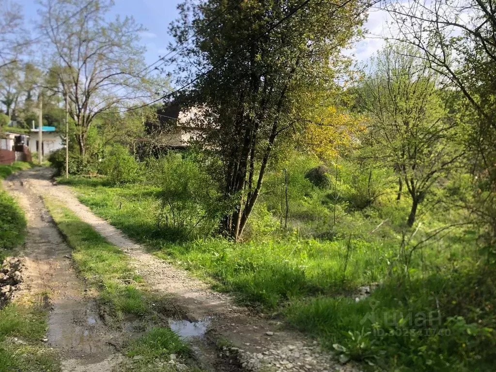 Участок в Краснодарский край, Сочи Королек садовое товарищество,  (6.0 ... - Фото 1