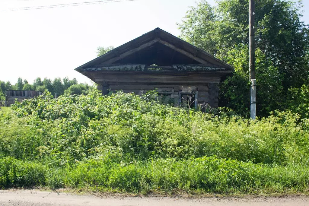 Участок в Тюменская область, Заводоуковский муниципальный округ, село ... - Фото 1