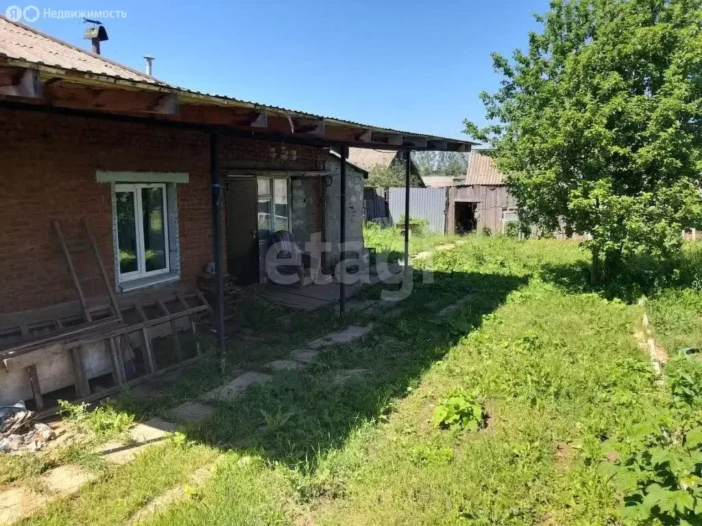 3-комнатная квартира: деревня Шадрино, улица Мира, 5 (63 м) - Фото 2