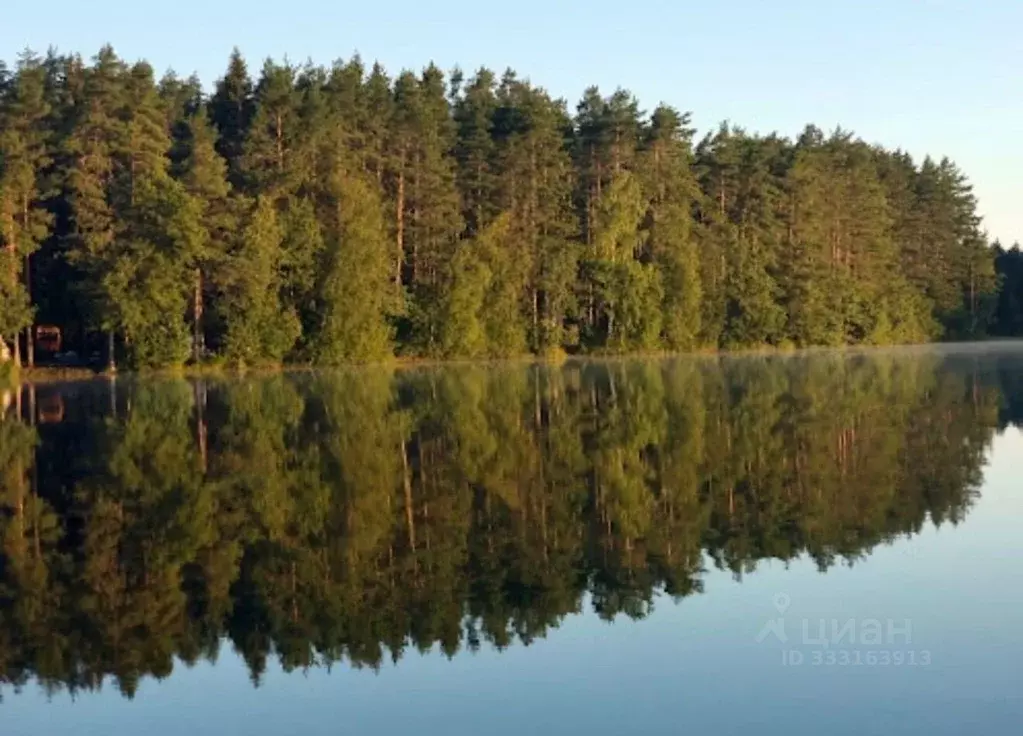 Участок в Ленинградская область, Выборгский район, Полянское с/пос, ... - Фото 1
