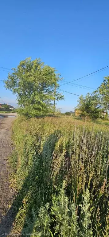 Участок в Самарская область, Ставропольский район, с. Подстепки ... - Фото 1