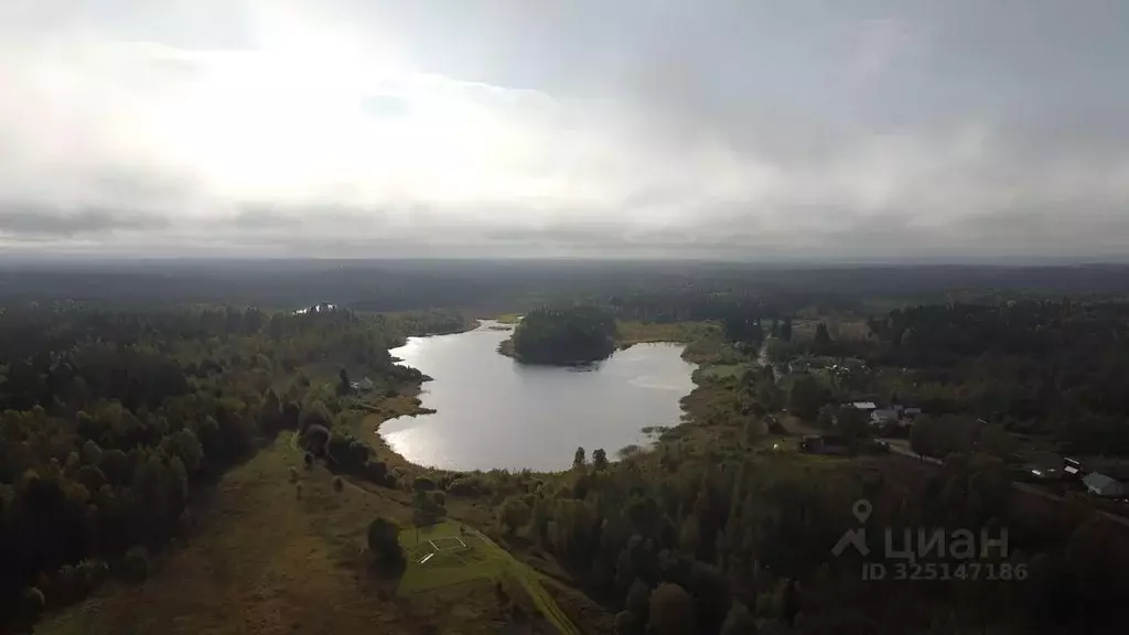 Участок в Карелия, Питкярантский муниципальный округ, д. Алатту  ... - Фото 1