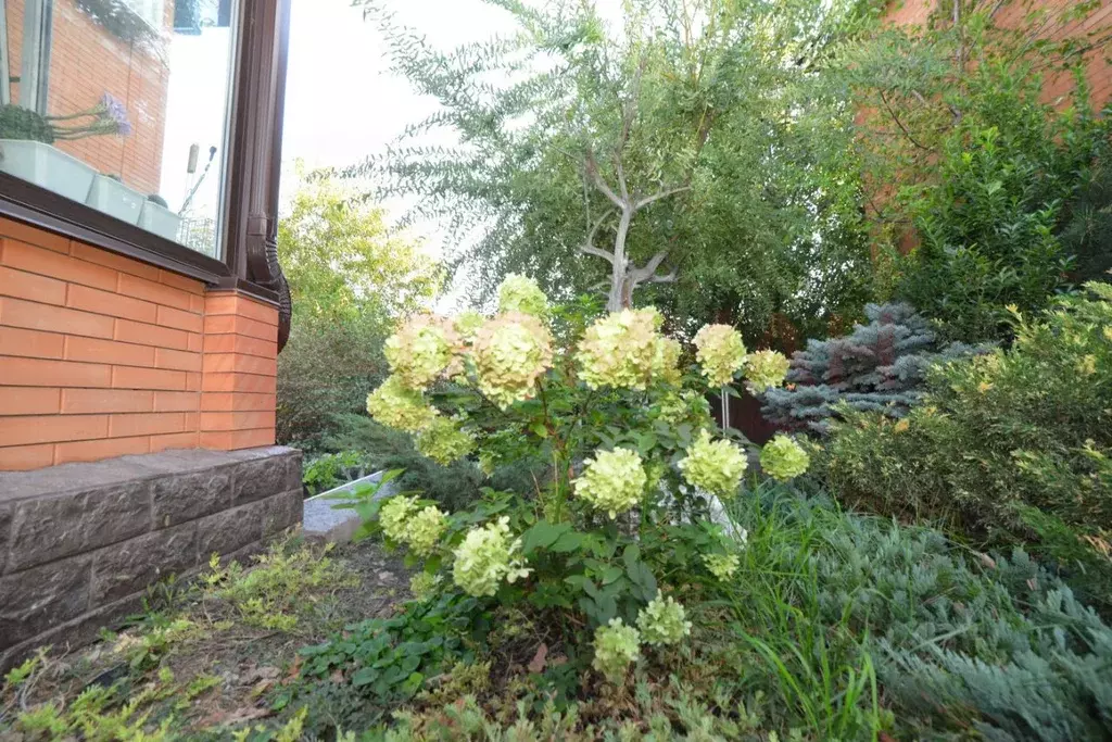 Участок в Ростовская область, Ростов-на-Дону Патриотическая ул. (6.1 ... - Фото 1