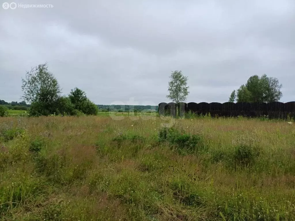 Участок в Псковский муниципальный округ, деревня Большая Гоголёвка ... - Фото 2