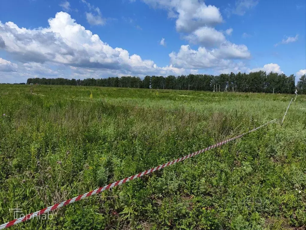 Участок в Тамбовская область, Тамбовский муниципальный округ, с. ... - Фото 2