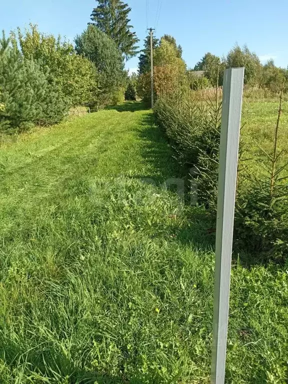 Участок в Псковская область, Печорский муниципальный округ, д. Кулиско ... - Фото 1