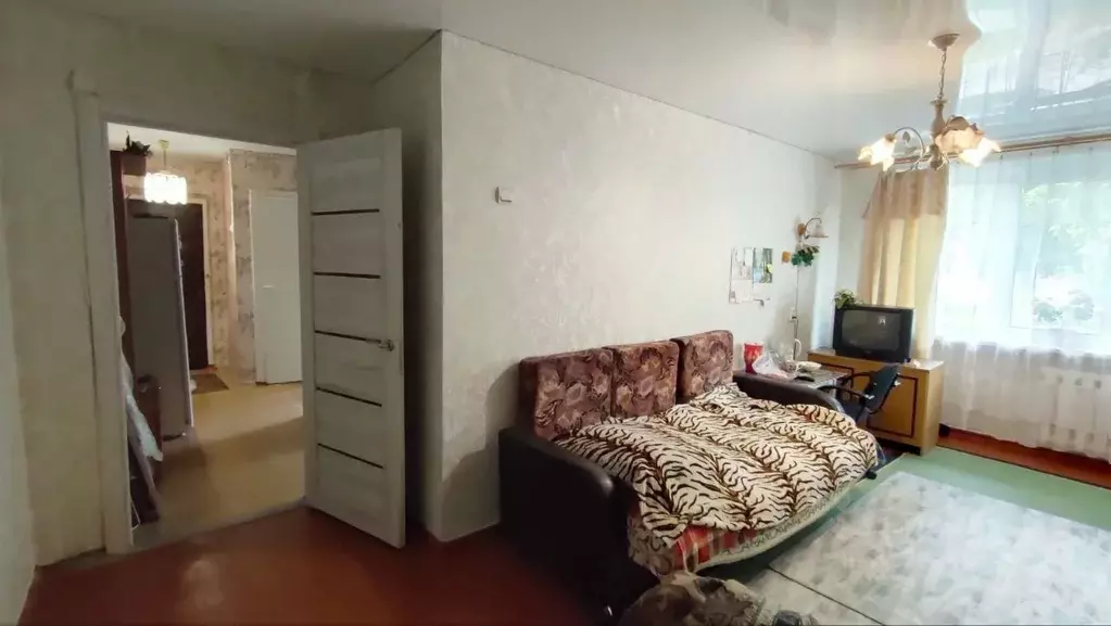 3-к кв. Оренбургская область, Оренбург Беляевская ул., 43 (60.0 м) - Фото 1