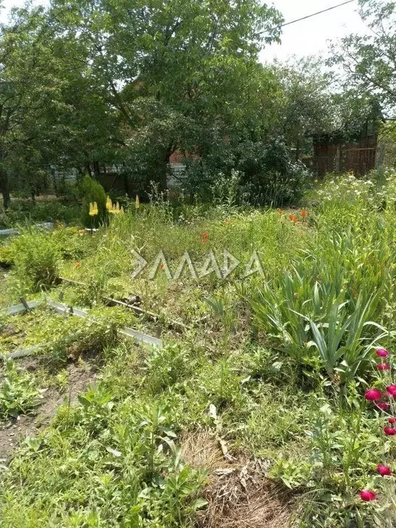 Участок в Ростовская область, Ростов-на-Дону Ракитная ул. (6.0 сот.) - Фото 1