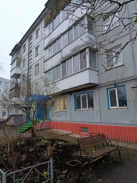 3-комнатная квартира: деревня Борки, Заверяжская улица, 5 (63 м) - Фото 2