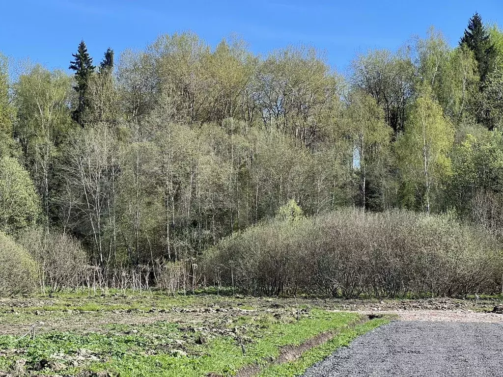 Участок 6,3 сот. (ИЖС) - Фото 1