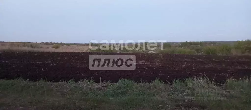 Участок в Курская область, Золотухинский район, Будановский сельсовет, ... - Фото 1