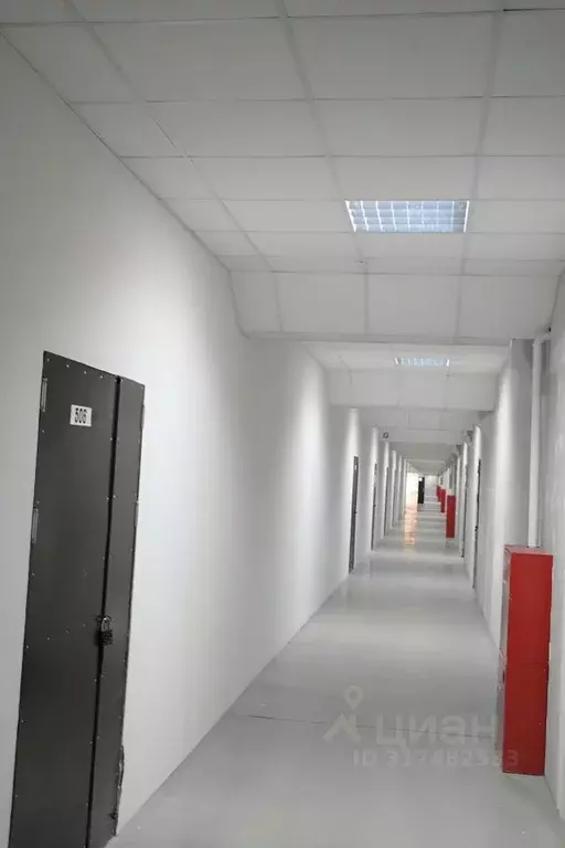Помещение свободного назначения в Новосибирская область, Новосибирск ... - Фото 1