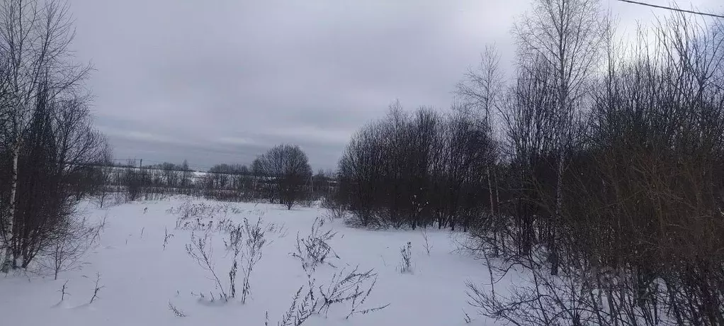 Участок в Московская область, Клин городской округ, д. Ватолино  ... - Фото 1