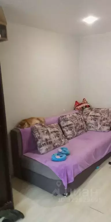 1-к кв. Нижегородская область, Нижний Новгород ул. Глинки, 40 (29.9 м) - Фото 1