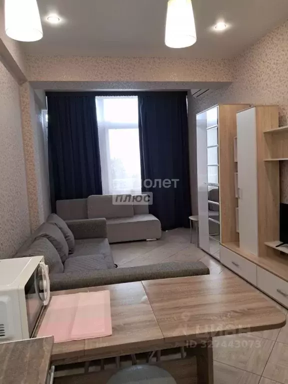 Студия Краснодарский край, Сочи Новый Сочи мкр, ул. Санаторная, 46 ... - Фото 2