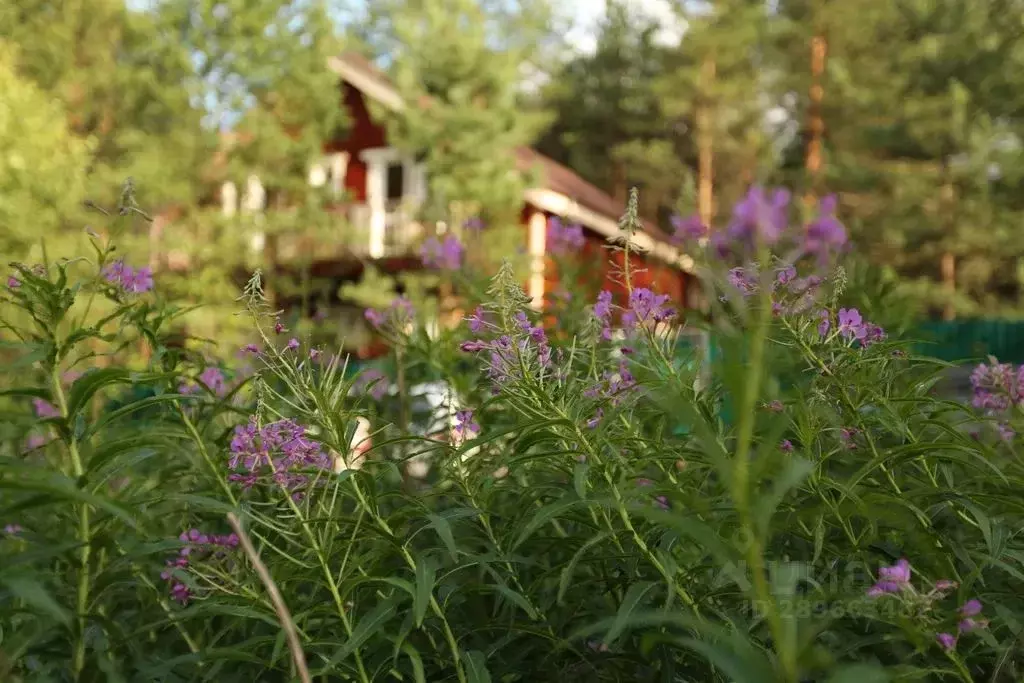 Дом в Владимирская область, Александровский район, Каринское ... - Фото 1