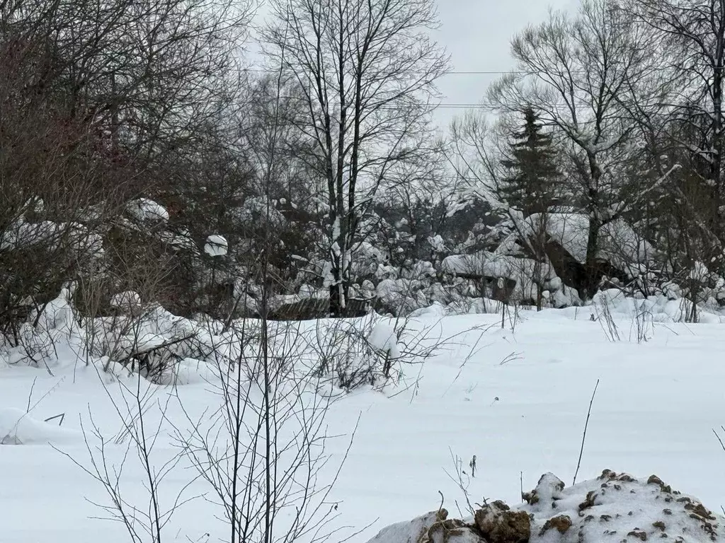 Участок в Московская область, Пушкинский городской округ, д. Талицы  ... - Фото 2