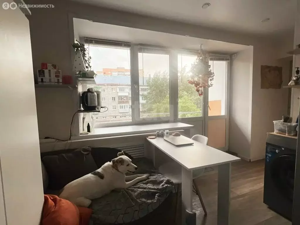 1-комнатная квартира: Пермь, улица Плеханова, 62 (24 м) - Фото 2