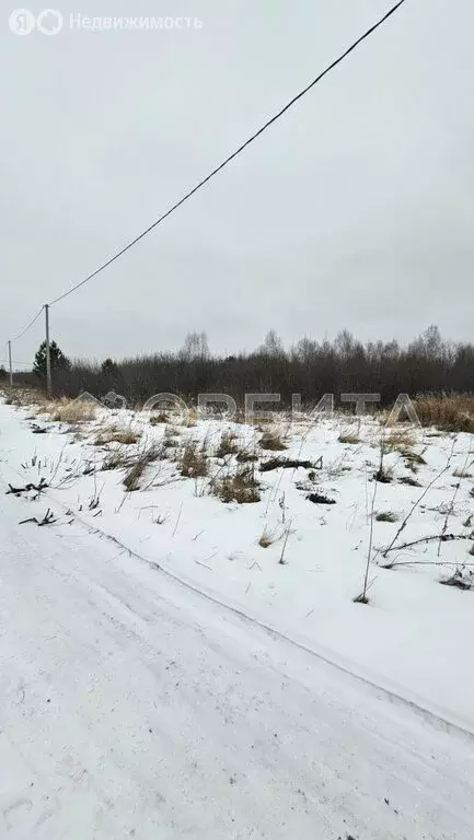 Участок в Тюменский район, деревня Кыштырла (100 м) - Фото 0